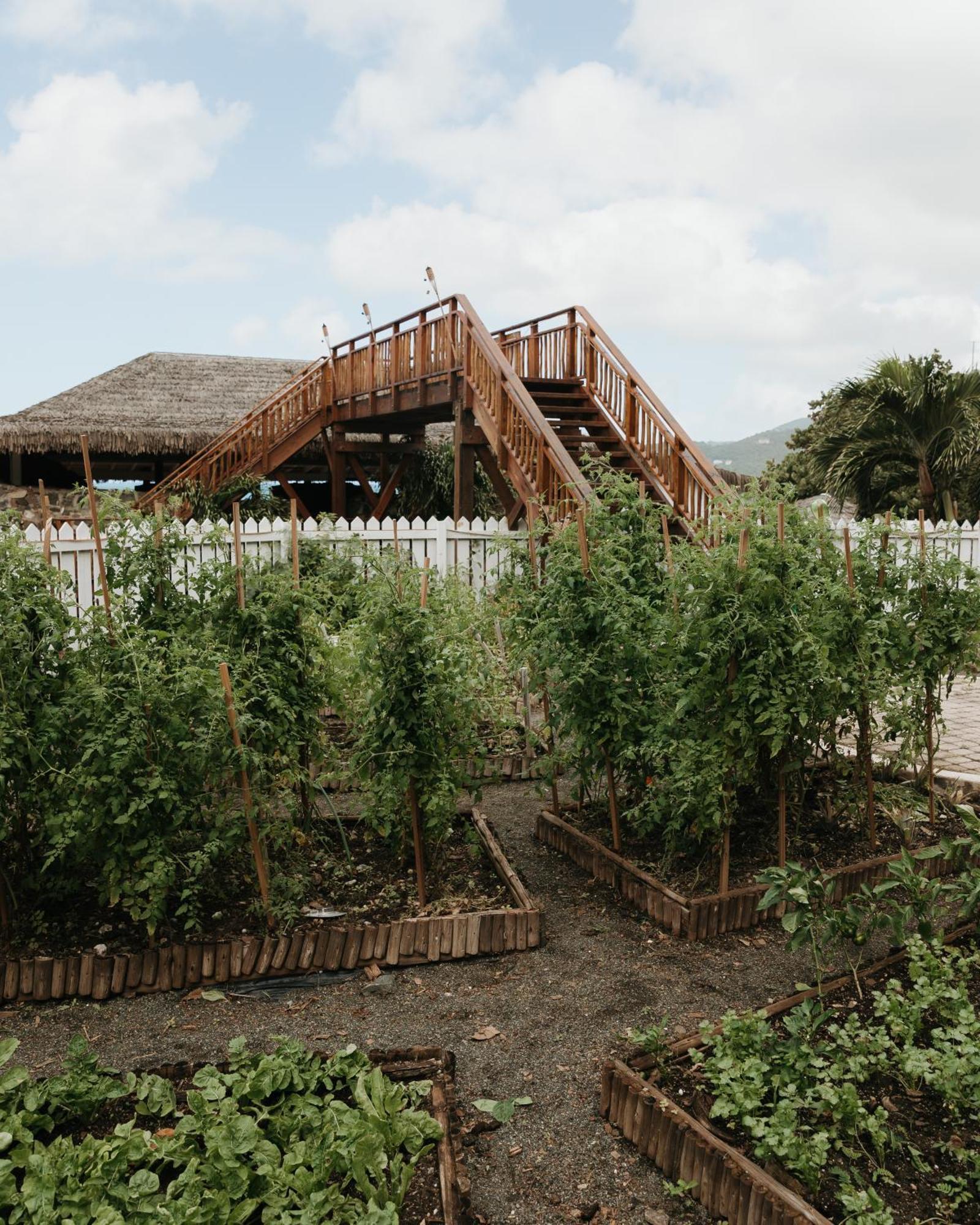 Long Bay Beach Resort Freshwater Pond Exterior foto